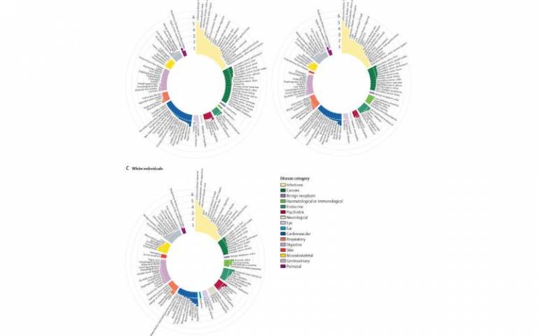 Visualisations of multimorbidity / disease categories - colourful 