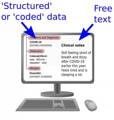 A computer screen shows clinical codes and other medical data matched to clinical notes about covid.
