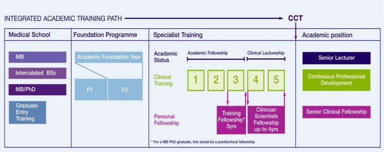 Academic Clinical Fellowships pathway
