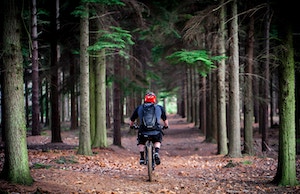 Cycling in the woods