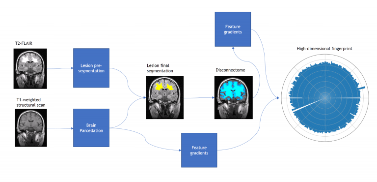 Brain scan schematic
