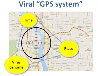 Viral "GPS" system 