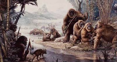 Gigantopithecus blacki - The Story So Far | Human Evolution @ UCL - UCL