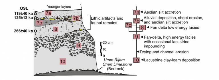 A generalized stratigraphy associated with Middle Pleistocene occupations at SM-1.