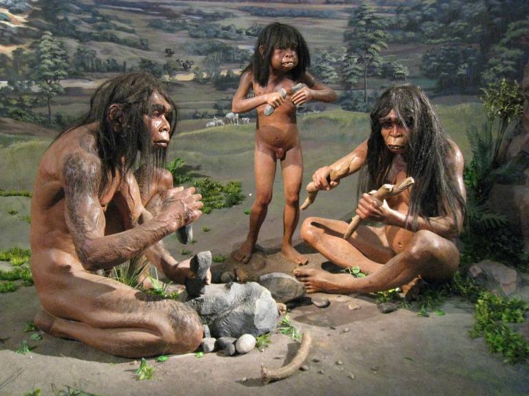 South East Asia Homo erectus