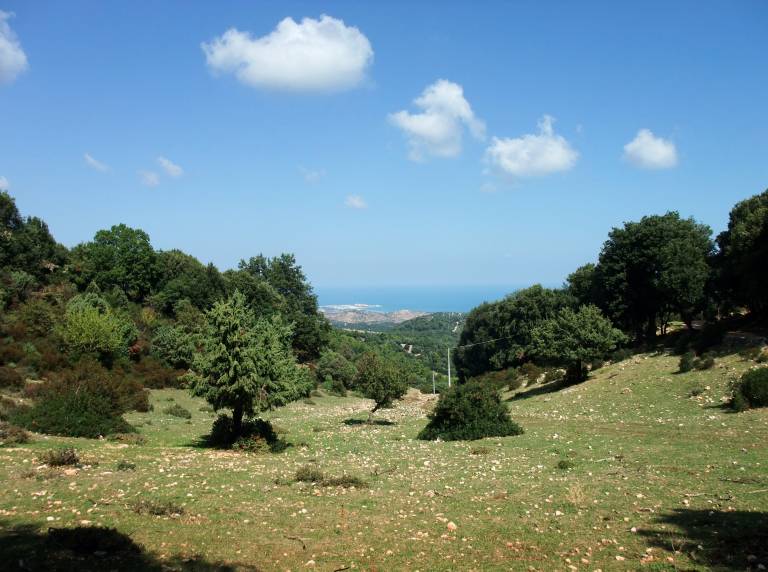 Apulian Landscape