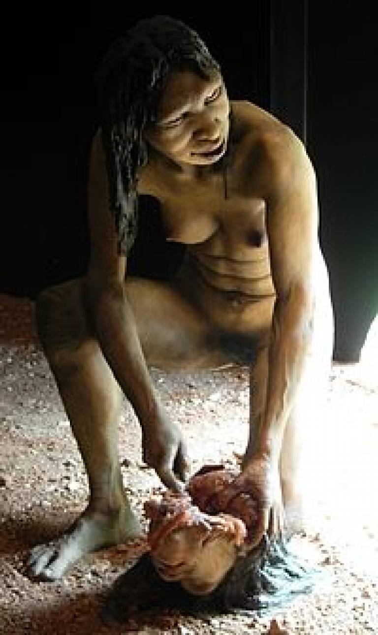 Female Homo antecessor consuming contents of the skull of another individual