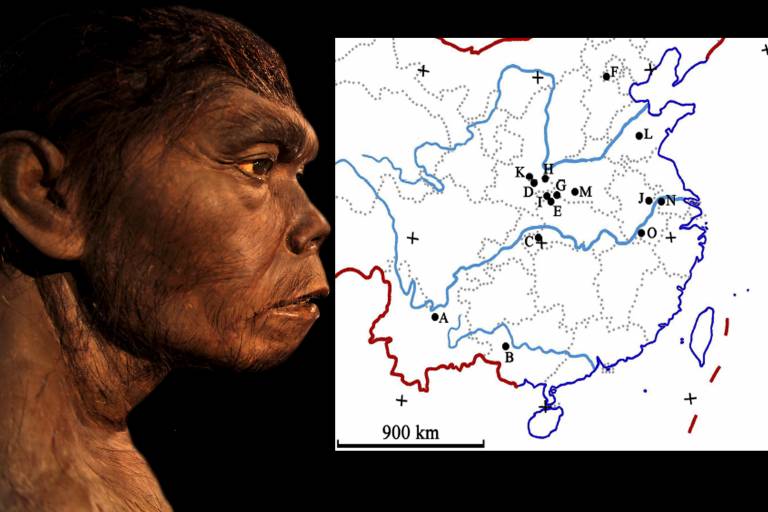 Homo erectus in China