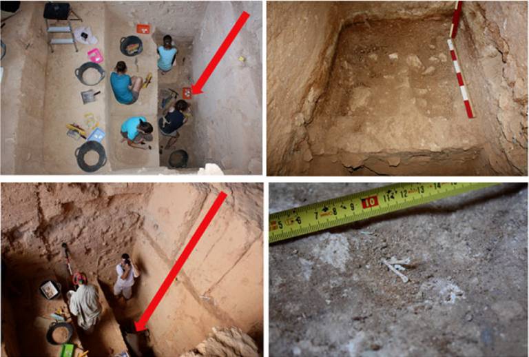 The Cueva Negra del Estrecho del Rıo Qu´ıpar excavation. The deep-lying deposit containing burnt remains is indicated by red arrows and is shown in the close-up views on the right.