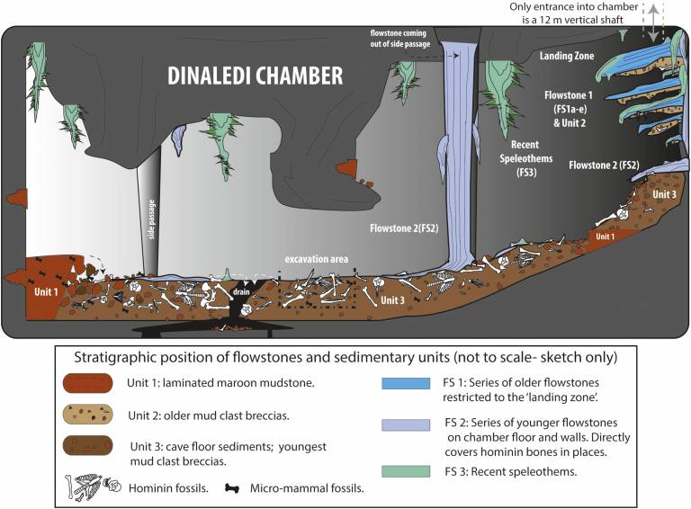 The Dinaledi Chamber of the Rising Star Cave System