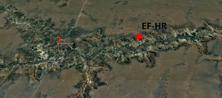 EF-HR - Olduvai Gorge