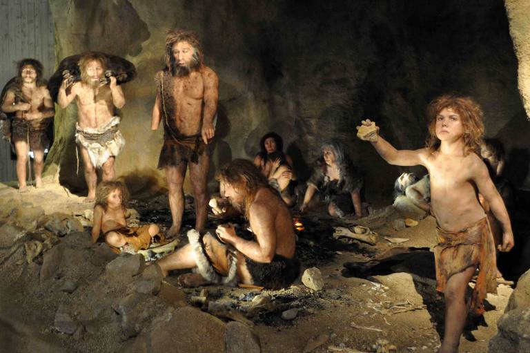 Homo neanderthalensis group
