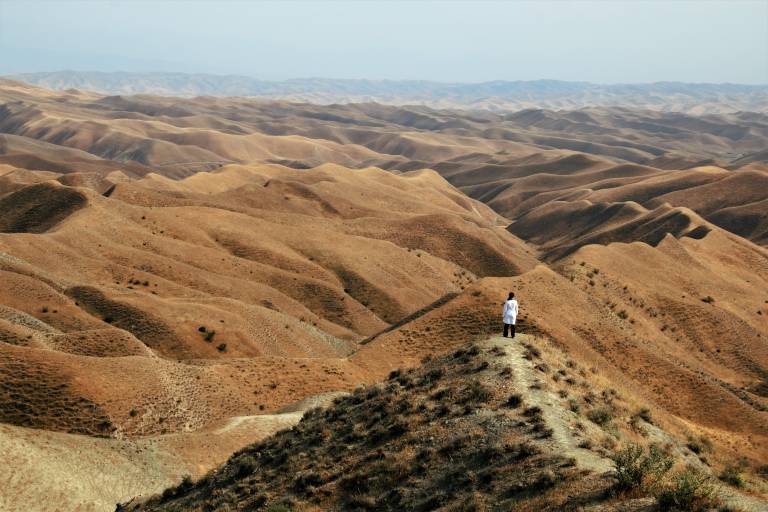 Iranian Landscape