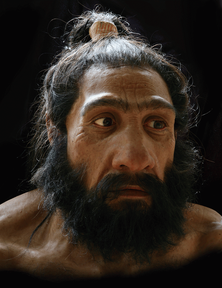 The Homo neanderthalensis of Shanidar