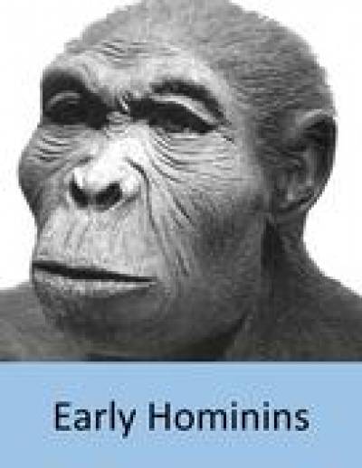 early_hominin