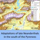 Adaptations of late Neanderthals in the south of the Pyrenees