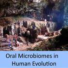 Oral Microbiomes in Human Evolution