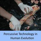 Percussive Technology in Human Evolution