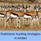 Prehistoric hunting strategies in Jordan