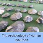 The Archaeology of Human Evolution