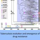 Tuberculosis evolution and emergence of drug resistance