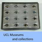 UCL museums and collections