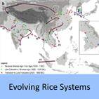 evolving rice systems