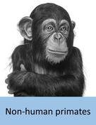 non-human_primate