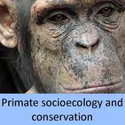 primate socioecology and conservation