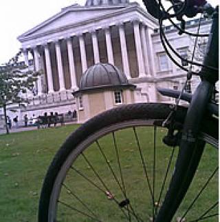 UCL's Cycle Scheme | UCL Human 