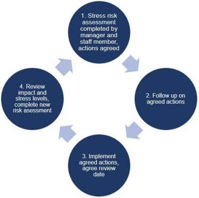 Life cycle of stress risk assessment 