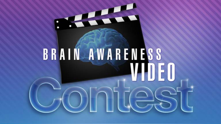 SFN Brain Video Contest