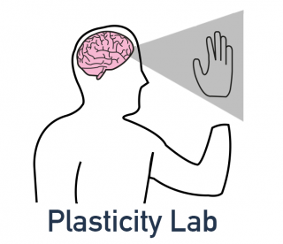 Plasticity Logo