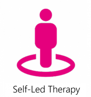 Self-Led Therapy icon 