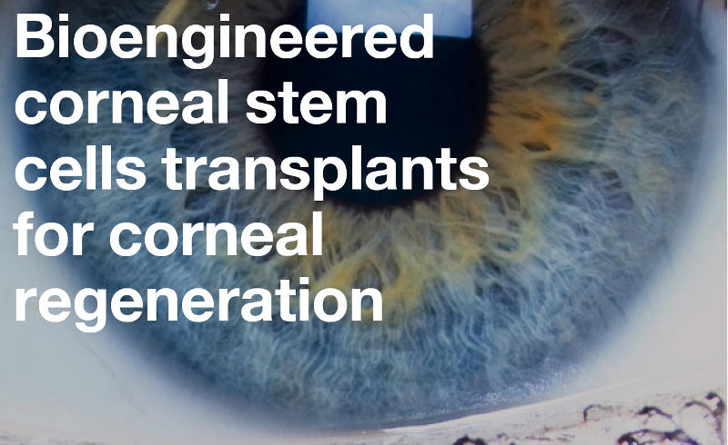Bioengineered corneal stem cells transplants for corneal regeneration