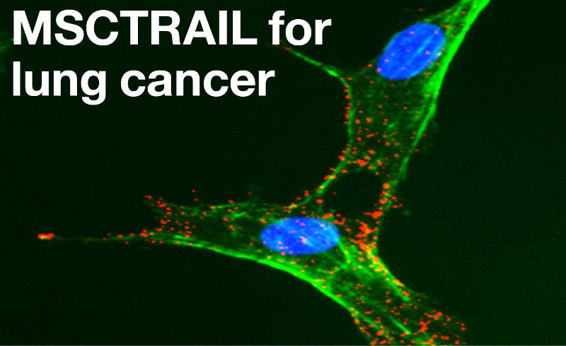 MSCTrail for lung cancer