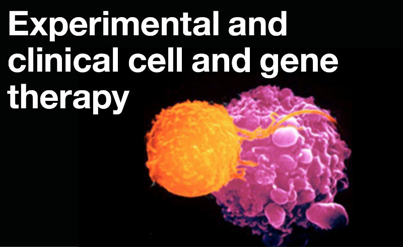 Experimental and clinical cell and gene therapy