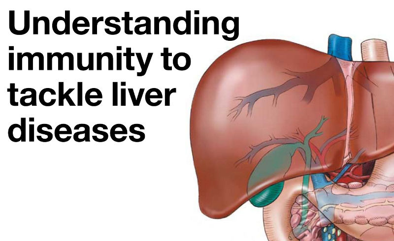 Understanding immunity to tackle liver diseases