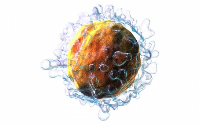3D illustration of a lymphocye cell