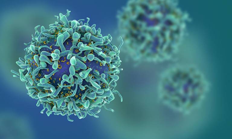 3d illustration of T cells 