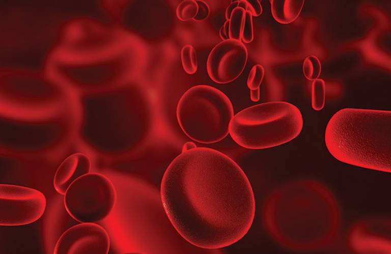 Red blood cells illustration