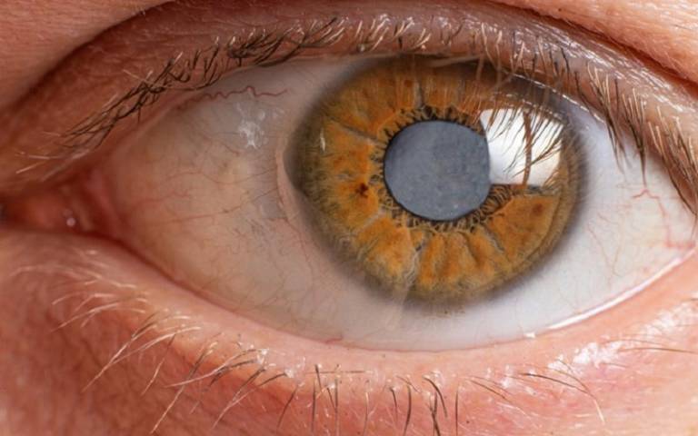 macro photo of the human eye
