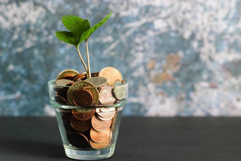 Coins in a glass pot with a plant growing out of it