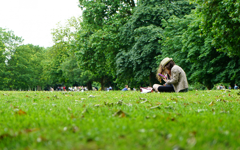 People sitting on green grass