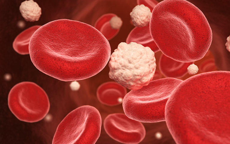Blood cells and glucose in the vein. 3D illustration