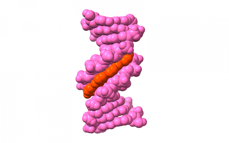 a ridinilazole analogue bound to DNA