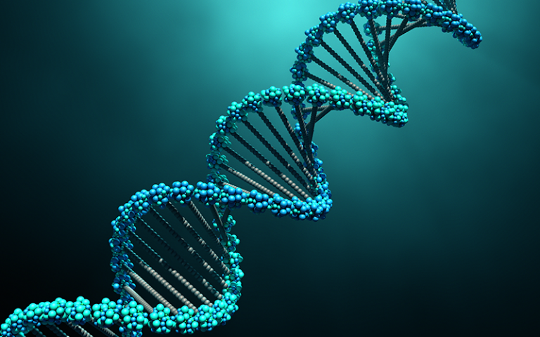 3d illustration DNA molecules