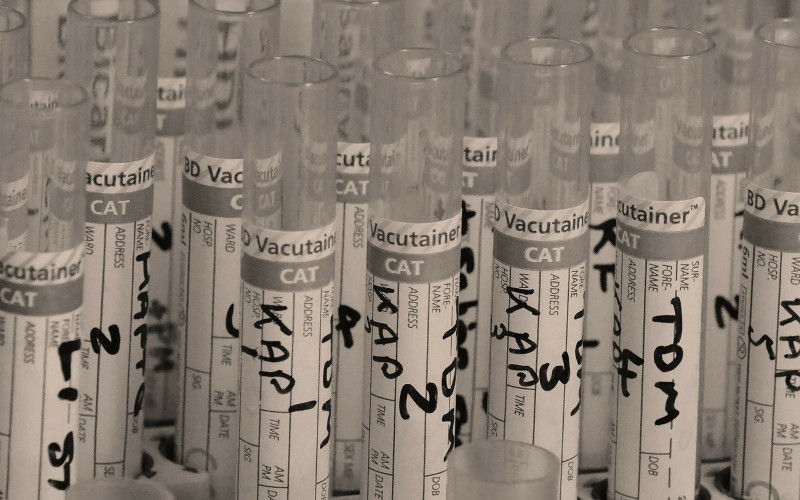 Labelled test tubes