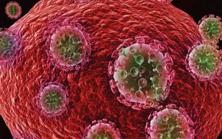 HIV virus being released from the surface of an infected cell