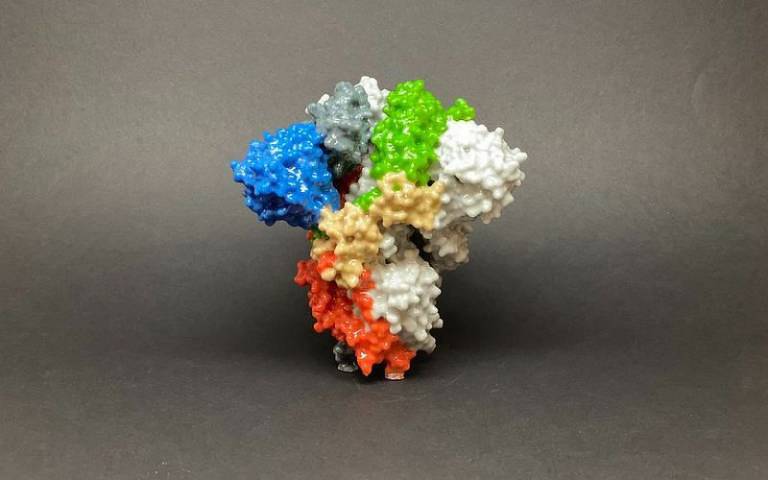 3D print of a spike protein on the surface of SARS-CoV-2